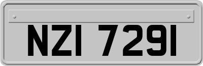 NZI7291
