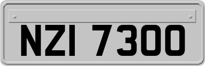 NZI7300