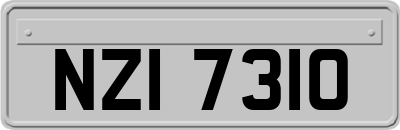 NZI7310