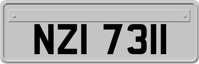 NZI7311