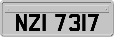 NZI7317