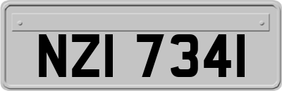 NZI7341