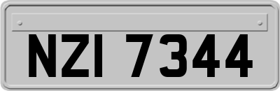 NZI7344