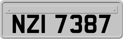 NZI7387