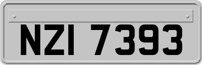 NZI7393