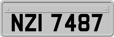 NZI7487