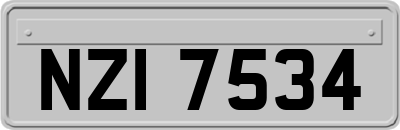 NZI7534