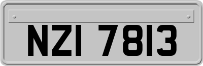 NZI7813