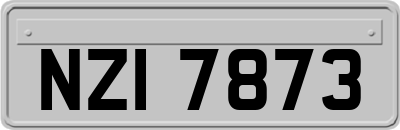 NZI7873