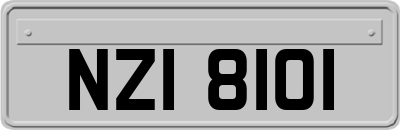 NZI8101
