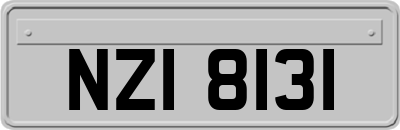 NZI8131