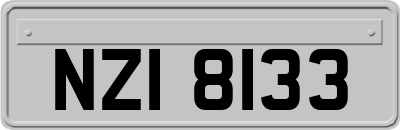 NZI8133