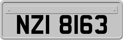 NZI8163