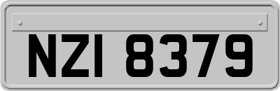 NZI8379