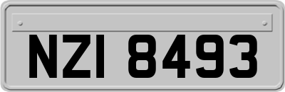 NZI8493