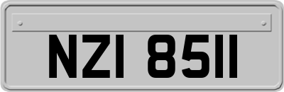 NZI8511