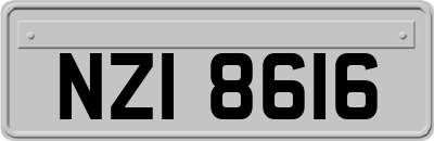 NZI8616