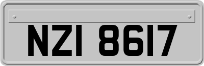 NZI8617
