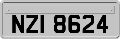 NZI8624