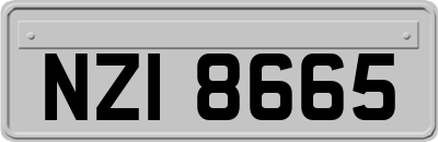NZI8665