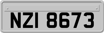 NZI8673
