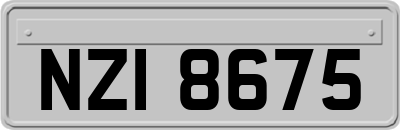 NZI8675