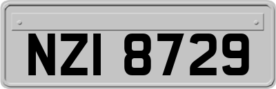 NZI8729