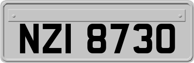 NZI8730
