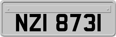 NZI8731