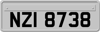 NZI8738