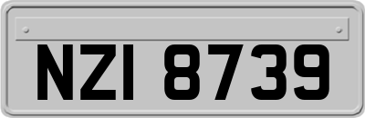 NZI8739