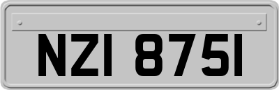 NZI8751