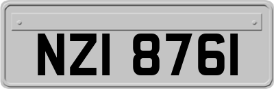 NZI8761