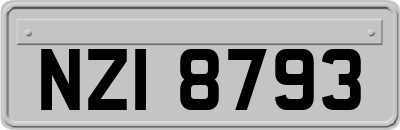 NZI8793
