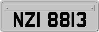 NZI8813