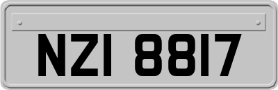 NZI8817