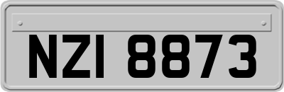 NZI8873