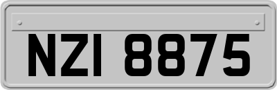 NZI8875