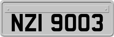 NZI9003