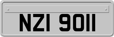 NZI9011