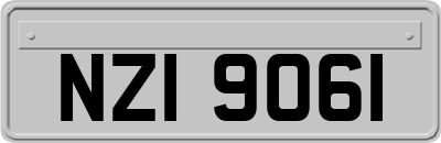 NZI9061