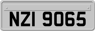 NZI9065