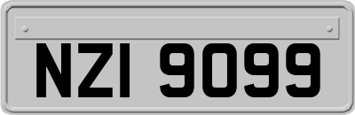 NZI9099