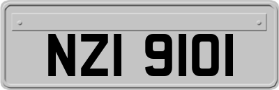 NZI9101