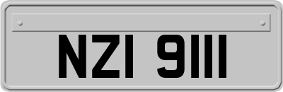 NZI9111