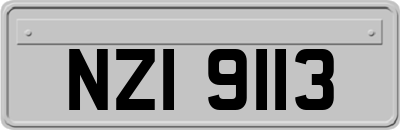 NZI9113