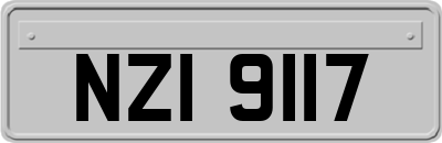 NZI9117