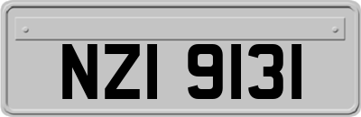NZI9131