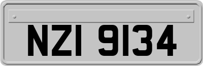 NZI9134