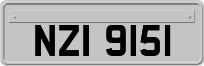 NZI9151